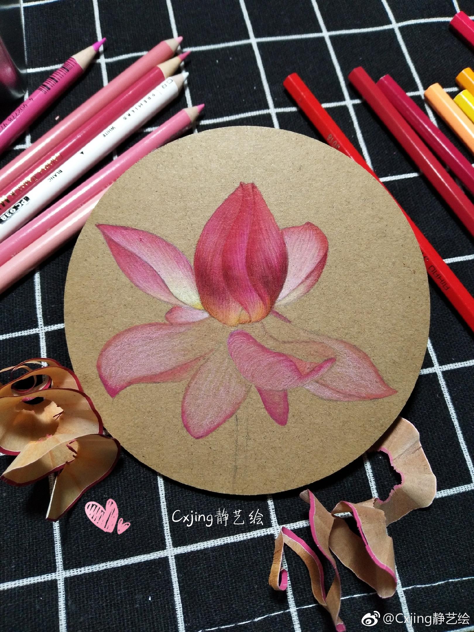 荷花纸:牛皮纸笔:霹雳马加三菱,甜秘密 投稿