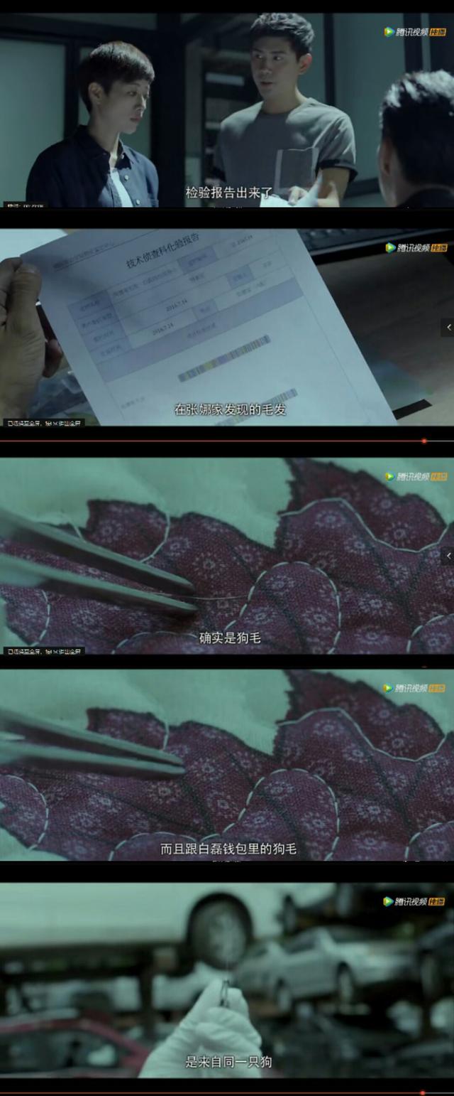 又是一部把智商摁在地上摩擦的网剧网友被剧名骗了