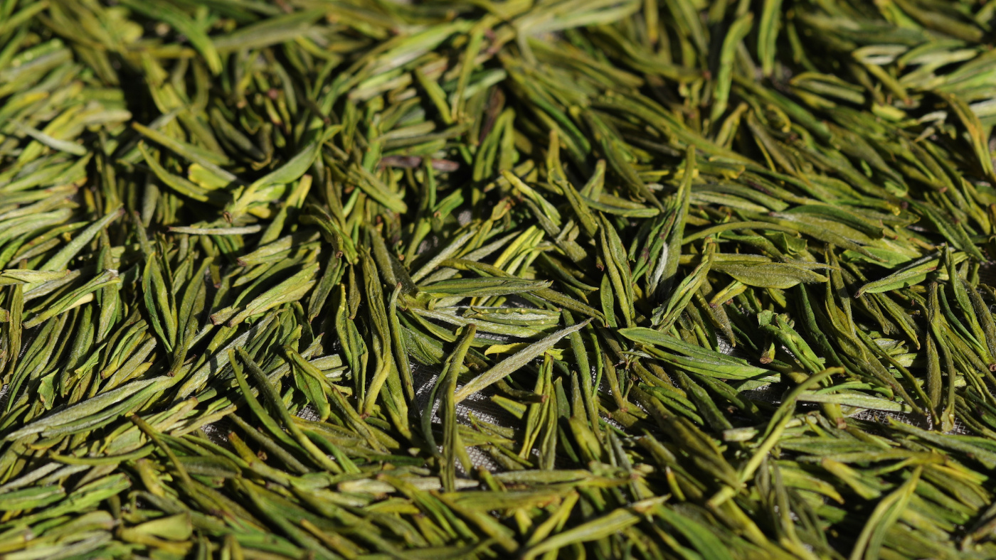 「煎茶日记」7月10日 | 茶毫里的小秘密