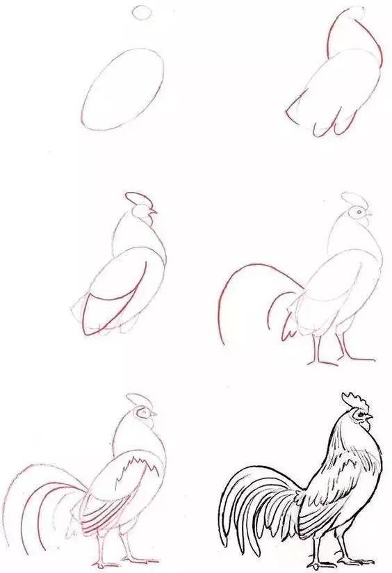 12步画一只公鸡和一只鹰11步画一只萌萌哒战士~或者画一只小乌龟6步画