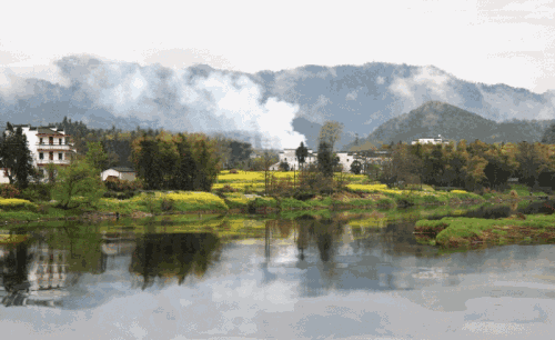 500_306gif 动态图 动图