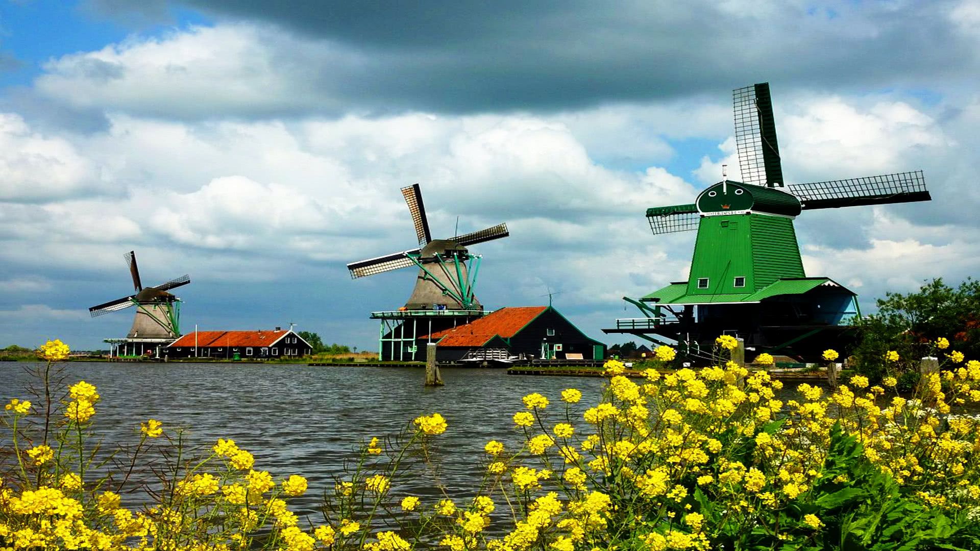 河南最强有力的回应,能让荷兰极具压力,能让瑞士逐渐绝望