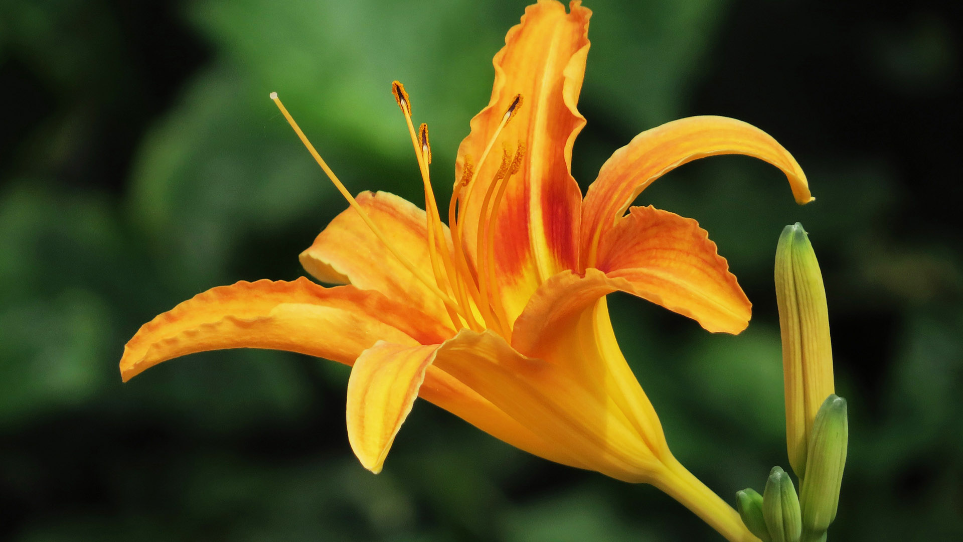 9月运势逆转,这3个生肖天降横财,生活喜上加喜!