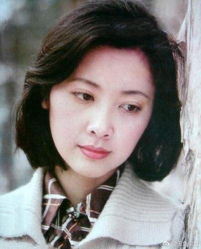 女儿国国王朱琳,已经66岁了,但容颜,气质都还在.