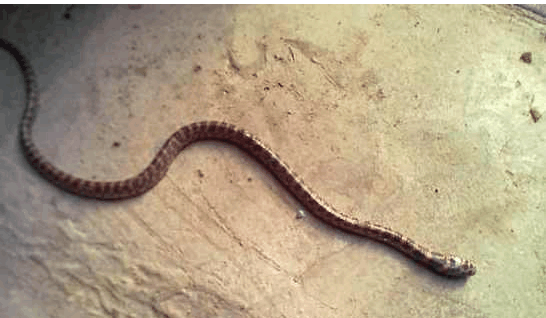 造景之路:120cm水草石木造景开缸过程欣赏