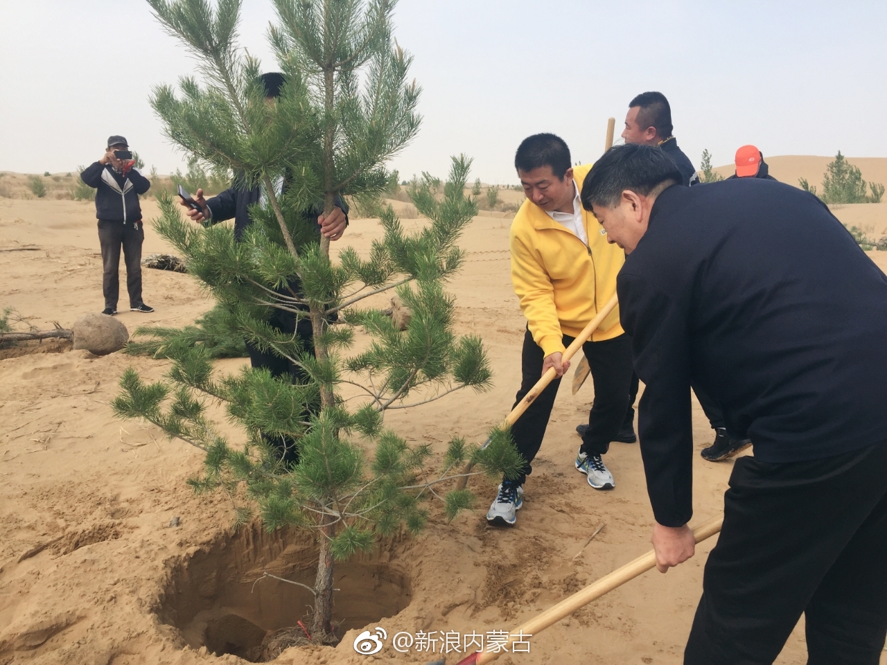 种树就是希望!转发一起为沙漠添绿