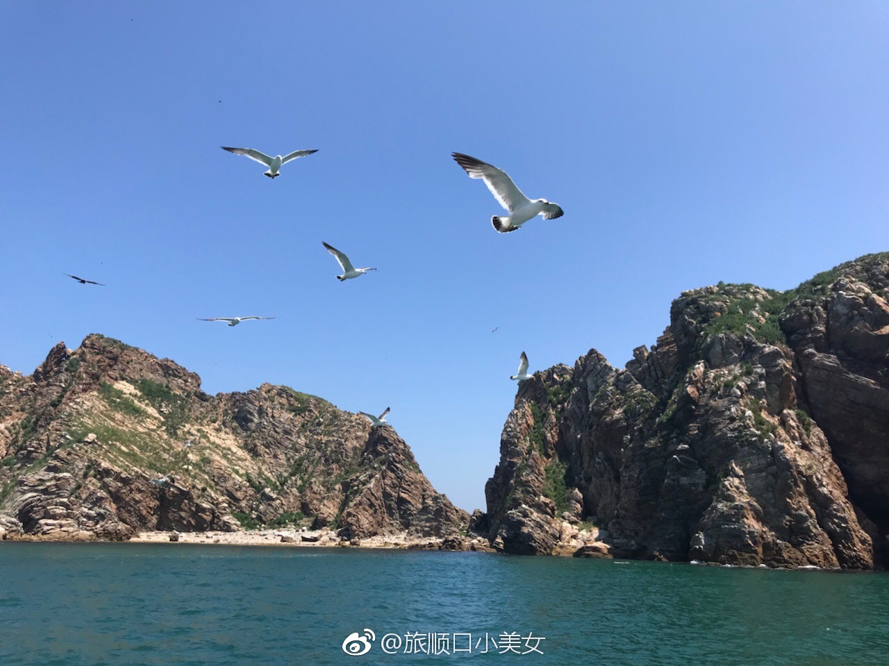 长岛—旅顺“渤海列岛游”航线即将开通_旅游产品