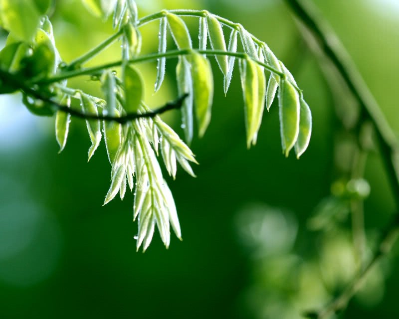 5月窮的叮噹響，6月自有錢財送上門！3大生肖翻身富貴做土豪！