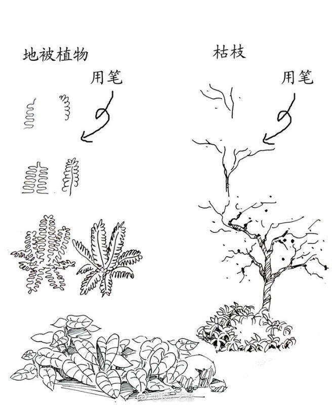 绘画灌木的手绘笔法图解