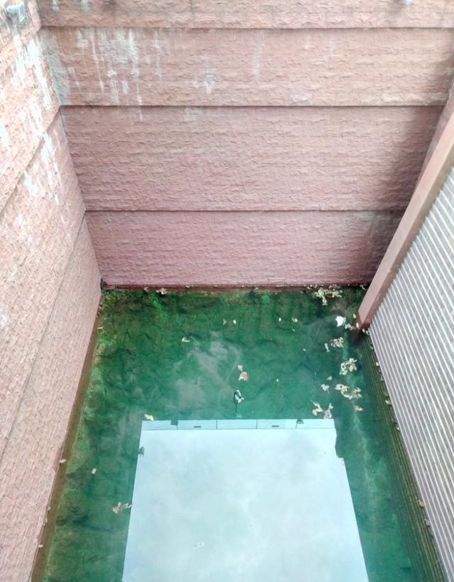 海珠的由来,羊城三石之海珠石