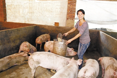 杀了她喂猪 新浪网