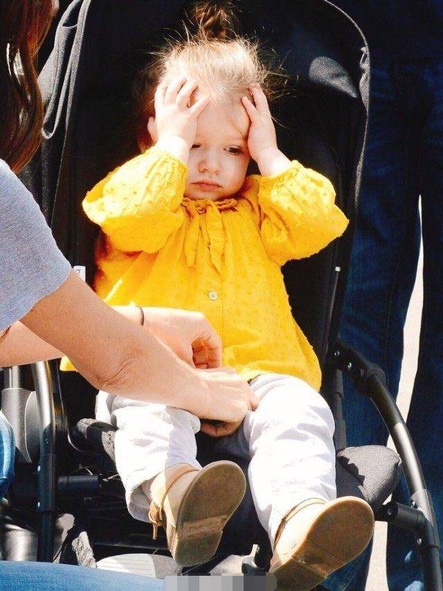 夏天快到了,晒晒小七的萌照,这么萌态可掬的小七再也见不着了!