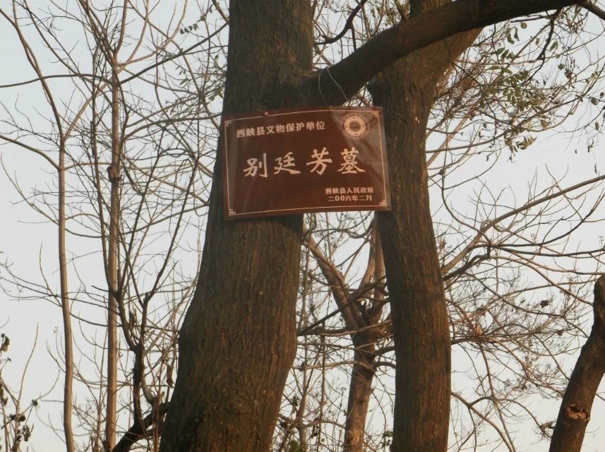 别廷芳当年那么牛他死后几十万部下怎么样了