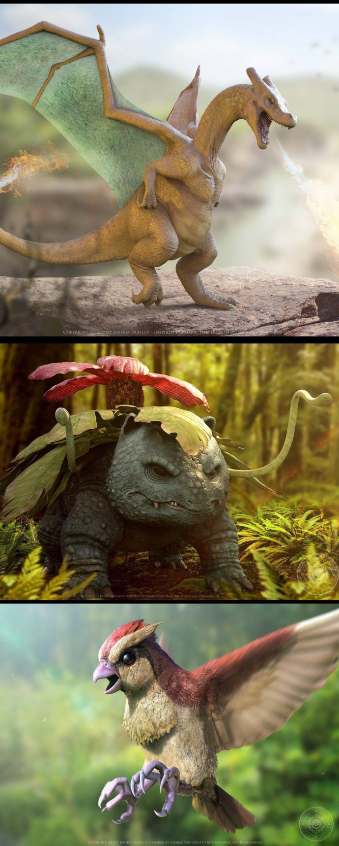 真实世界的口袋妖怪丨joshuadunlop