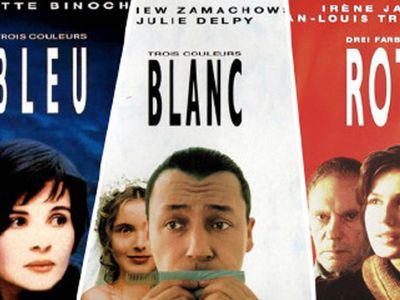 天宝伏妖录小说