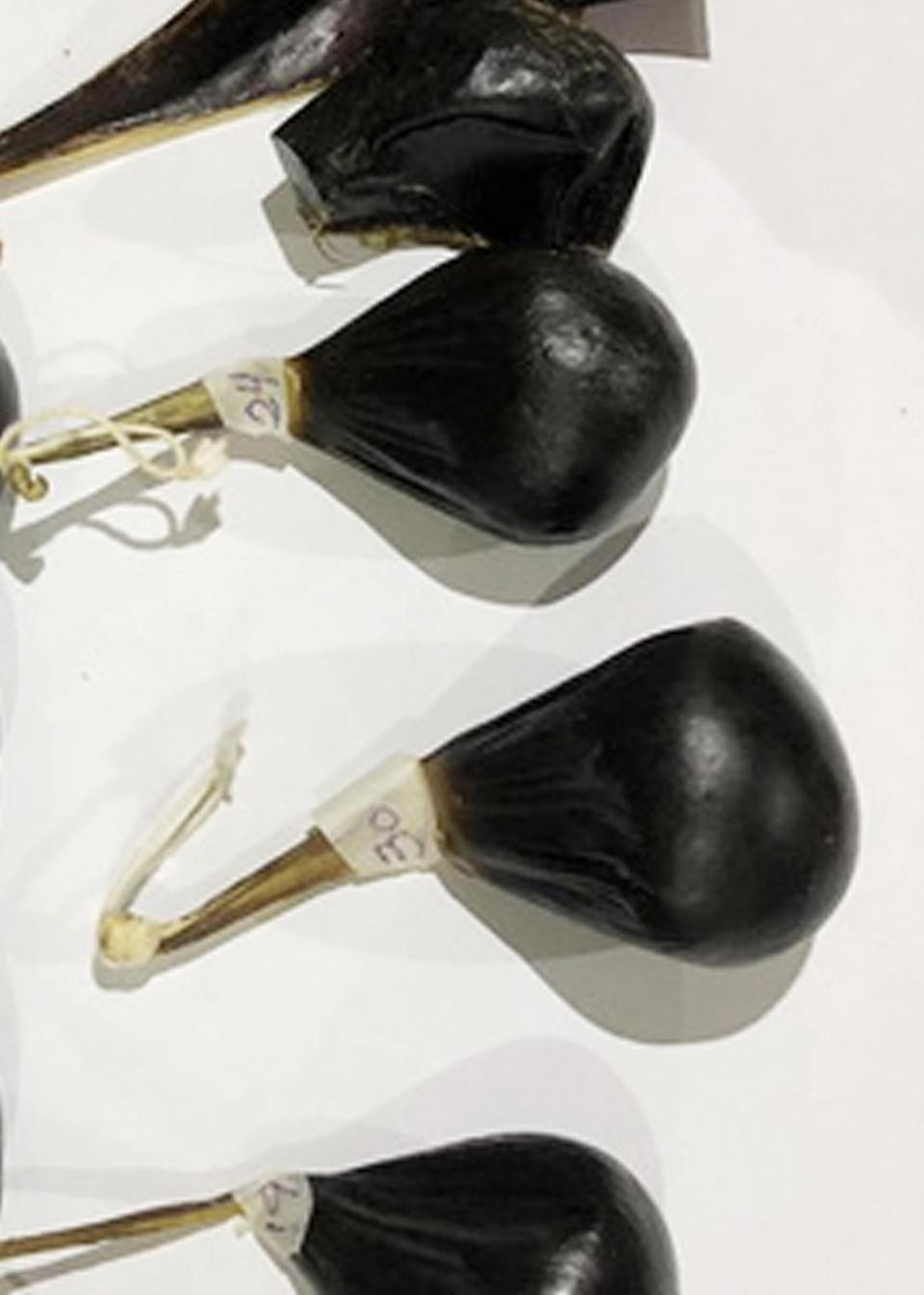 真大胆!衣物箱里传来刺鼻腥味 深圳海关查获入境熊胆13枚