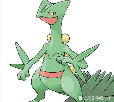 神奇宝贝小智的龙属性精灵小智并没有每次都带来一切的游览