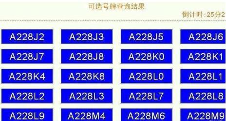 自选车牌号怎么选靓号
