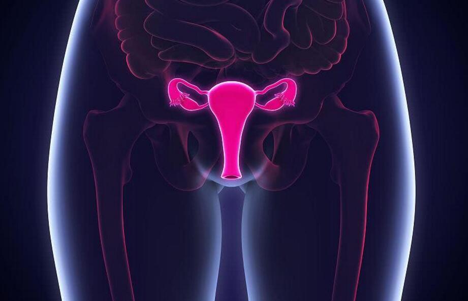 卵巢保养吃什么食物好