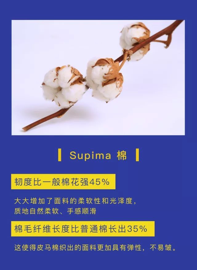 而"马蒂斯野兽主义t恤"采用的supima,有着顶级皮马棉的称号.