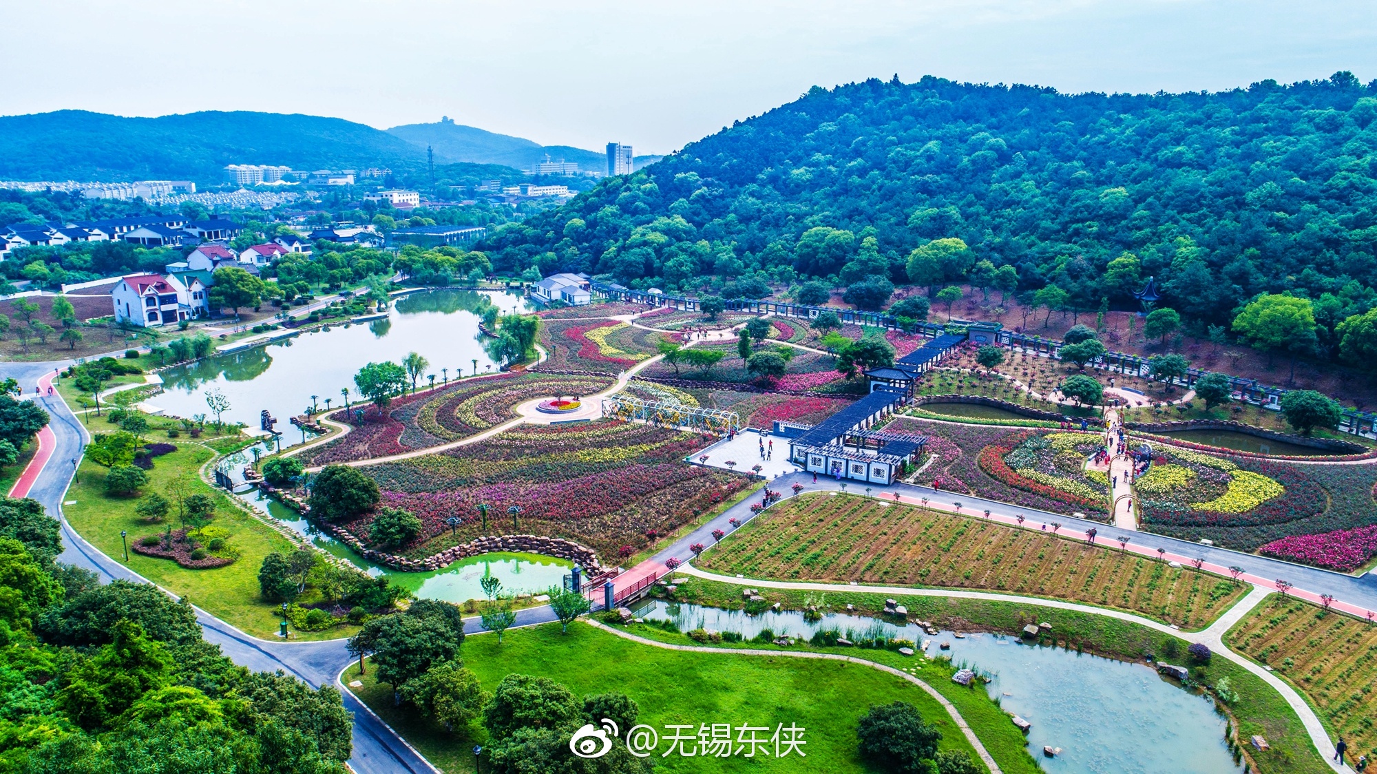 突发！上海金山有站小巷的吗？2024真实走访与完整地点指南全解析