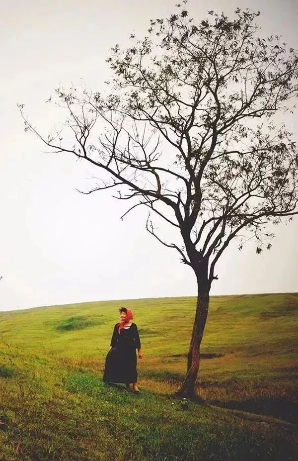 一处空旷的田野穿上森系长裙悠闲的仿似中国版"塔莎奶奶"寻找一处树林