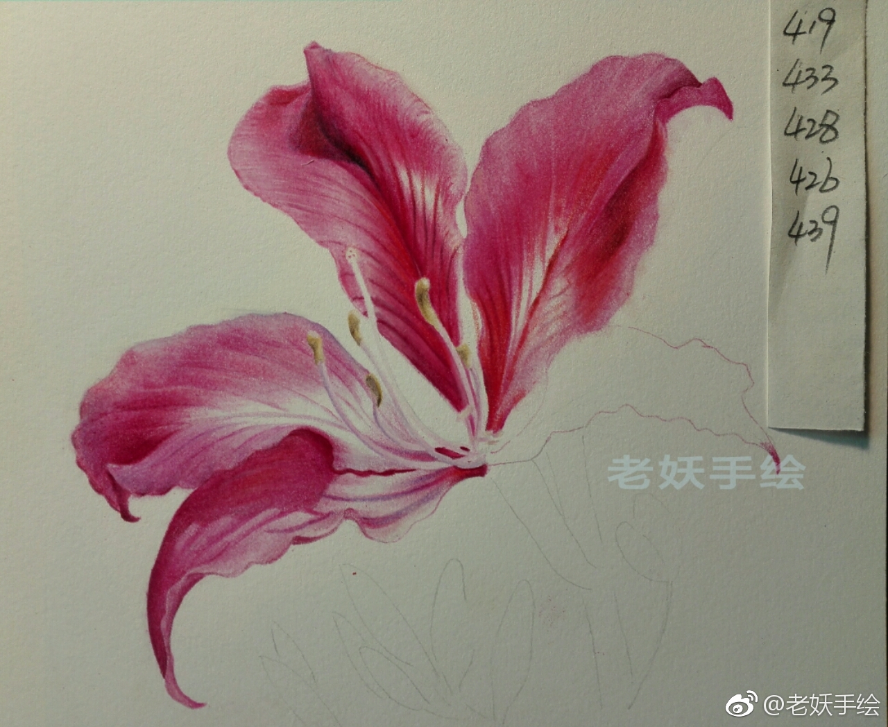 紫荆花在古代人们用紫荆花比拟亲情兄弟和睦投稿