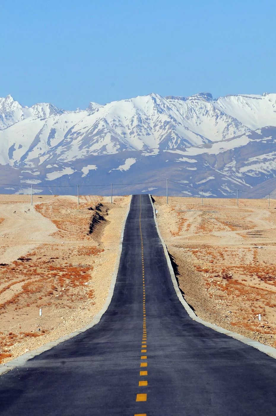 阿里~西藏的西藏,没有到过阿里就不算到过西藏!