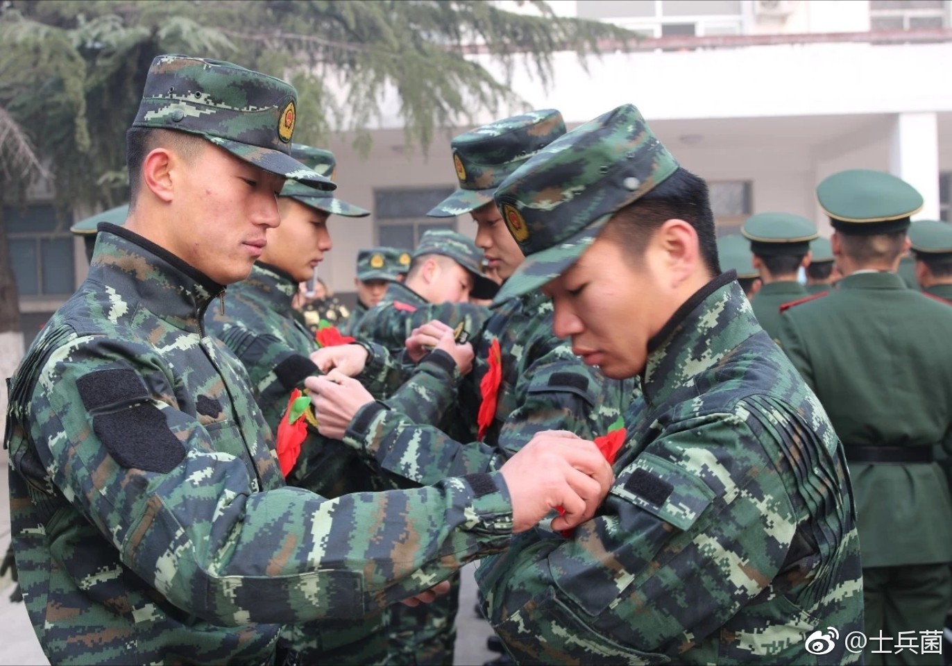 是军营,点缀了我们的年华_新浪看点