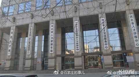 石家庄桥西人才网：连接梦想与未来的新桥梁