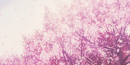 500_249gif 动态图 动图