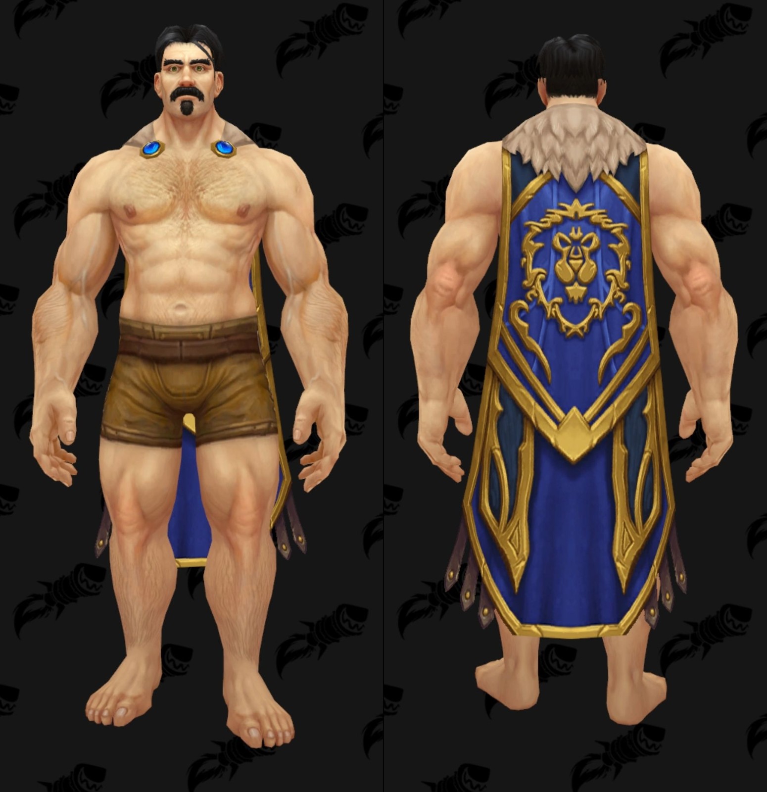 魔兽世界80第一季pvp装备一览人类男模名不虚传