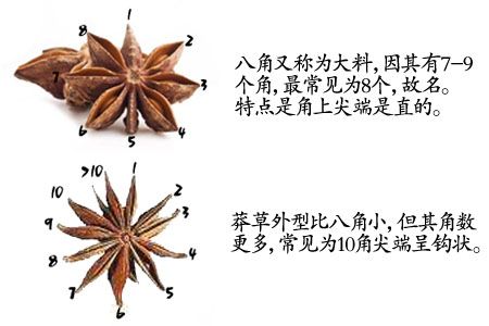 这些农村物注意辨别,胡乱食用可致命