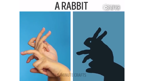 用手影摆出各种小动物,卧槽,厉害啦,可以学起来教小朋友