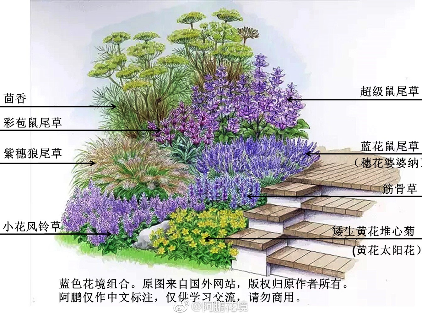 打个广告我的公号阿鹏花境谢谢