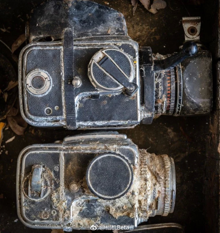 两具发霉老化的哈苏500C 尸体,打包起拍只要