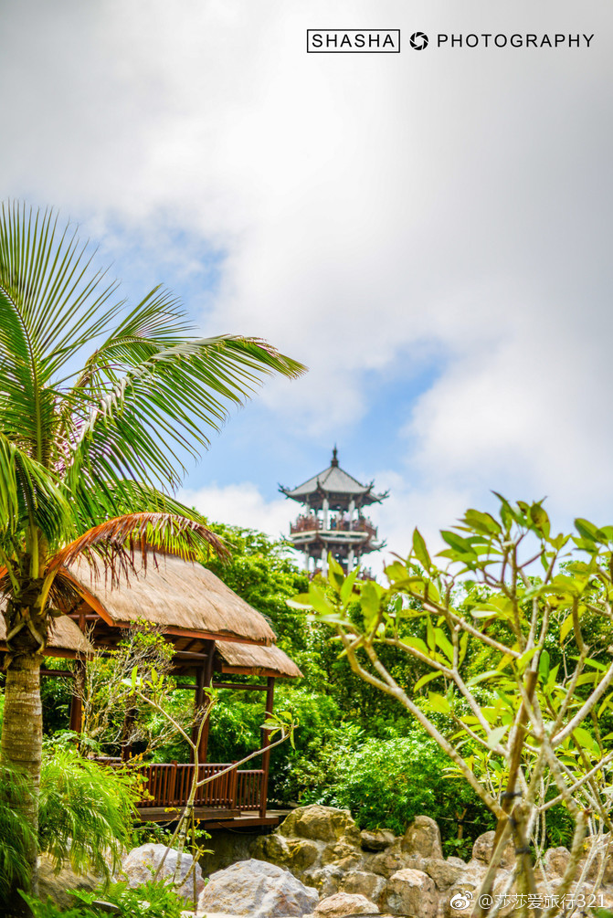 三亚亚龙湾热带天堂森林公园,漫山古树藤蔓密布,绿意盎然