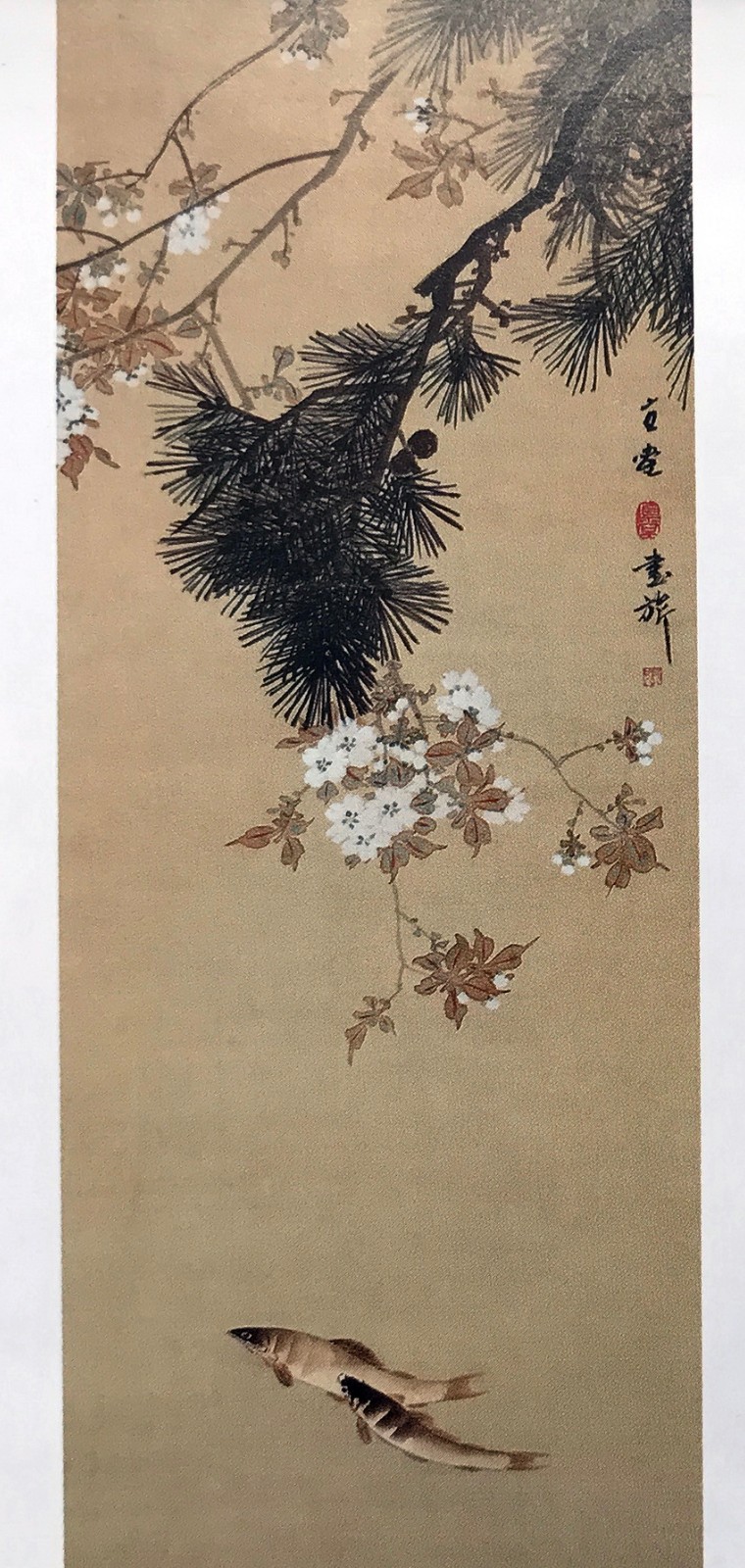 书奇免费小说APP如何发布作品?