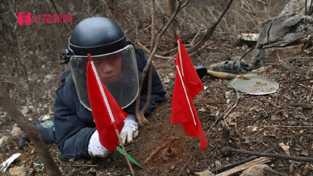 如何省3000元高效完成一条龙服务?全流程避坑指南