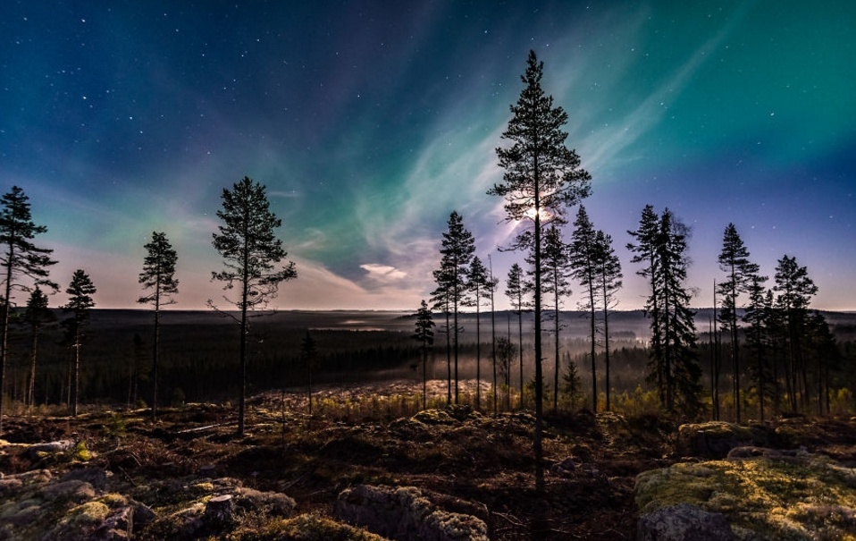 星夜,极光|摄影师jani ojala