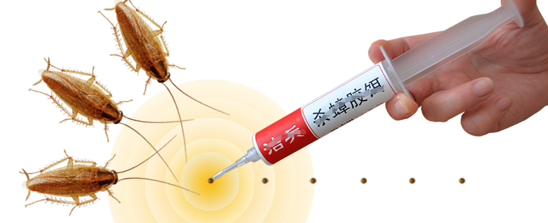 如何灭蟑螂卵（如何灭蟑螂）-第1张图片-潮百科