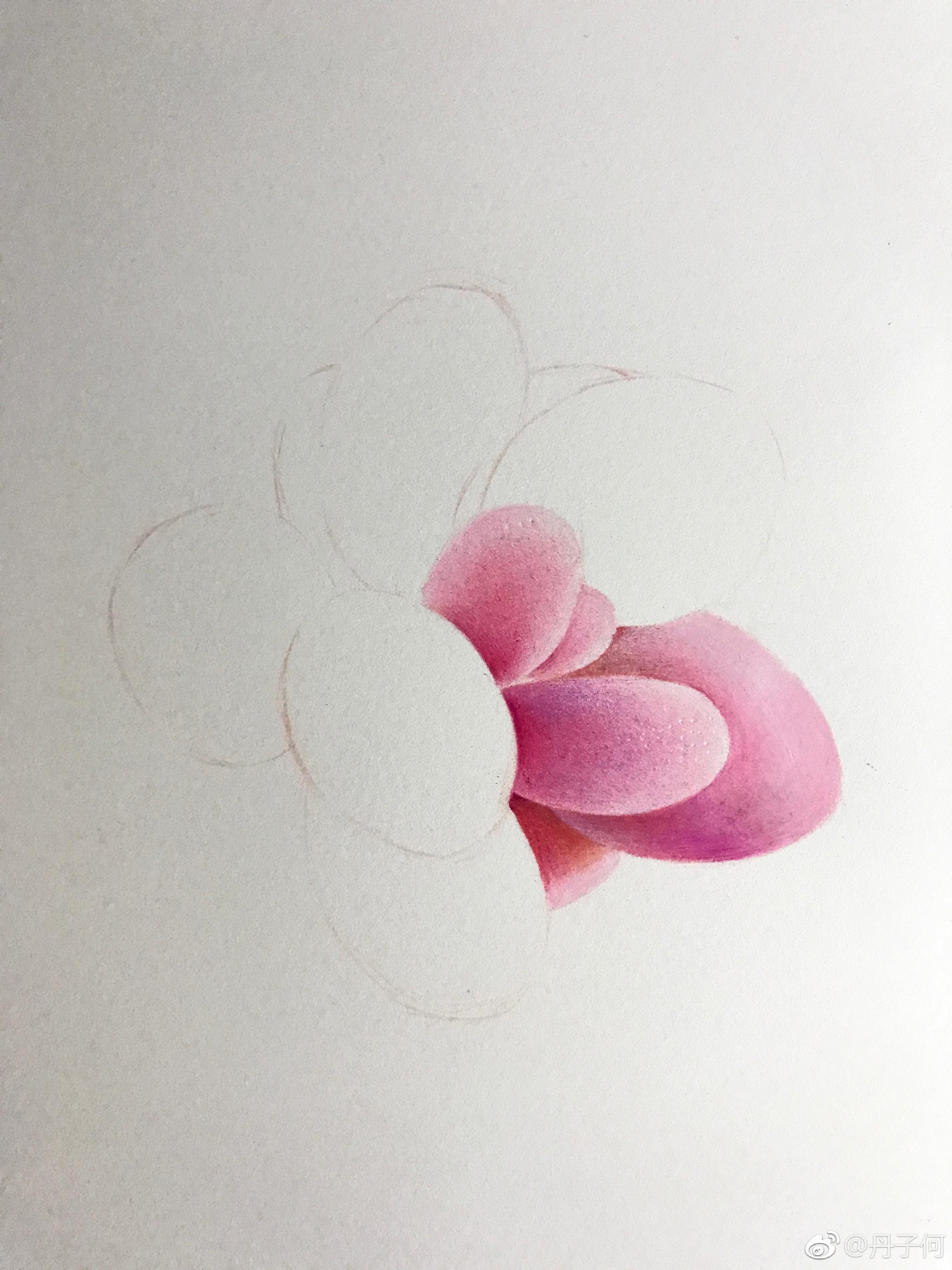 彩铅多肉桃蛋投稿