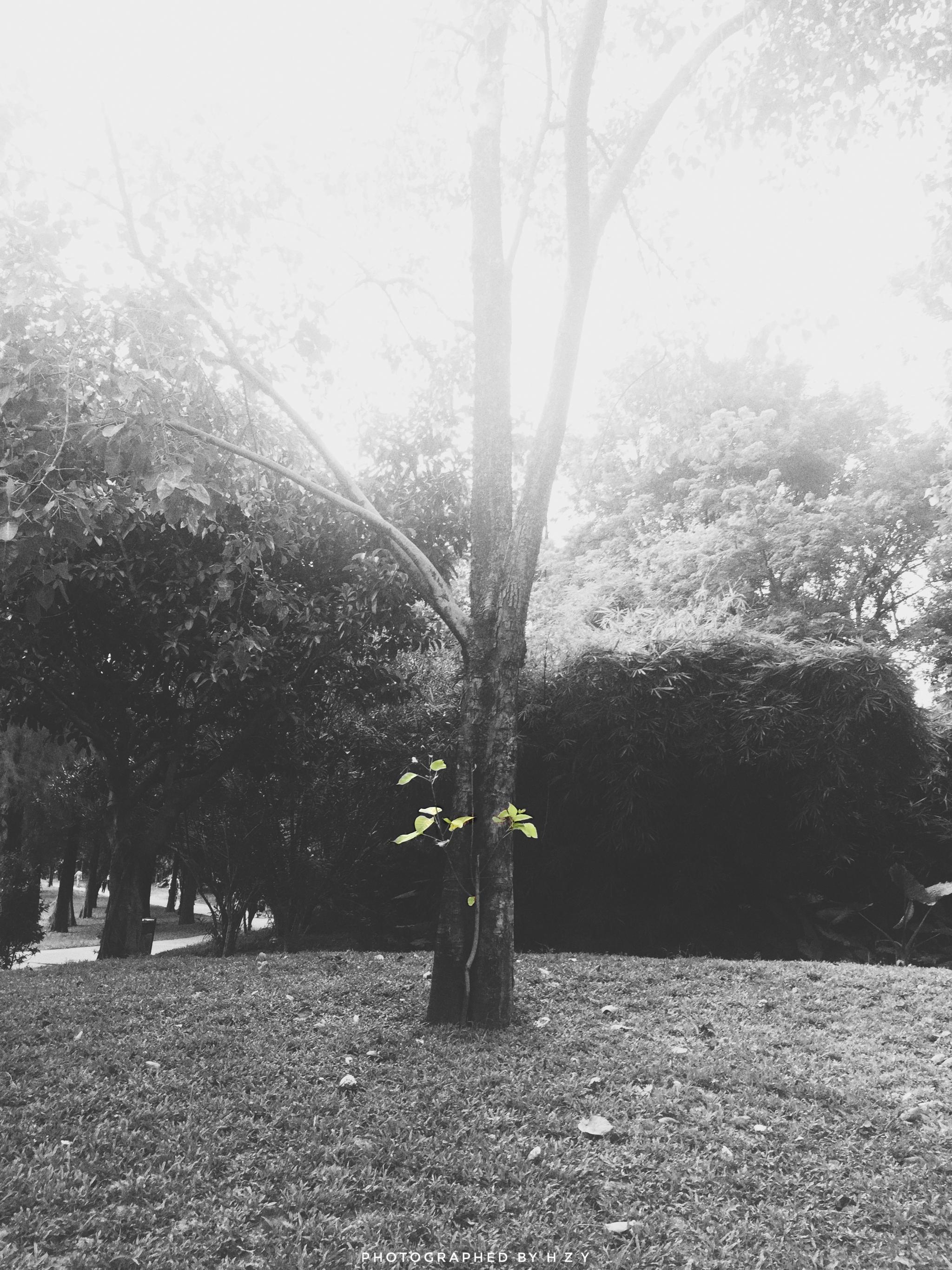 在枯燥无味的生活中寻求一点乐趣