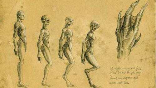 最新科学重大发现, 可能会改变人类的进化