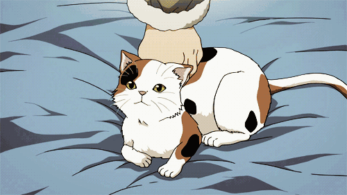 500_281gif 动态图 动图