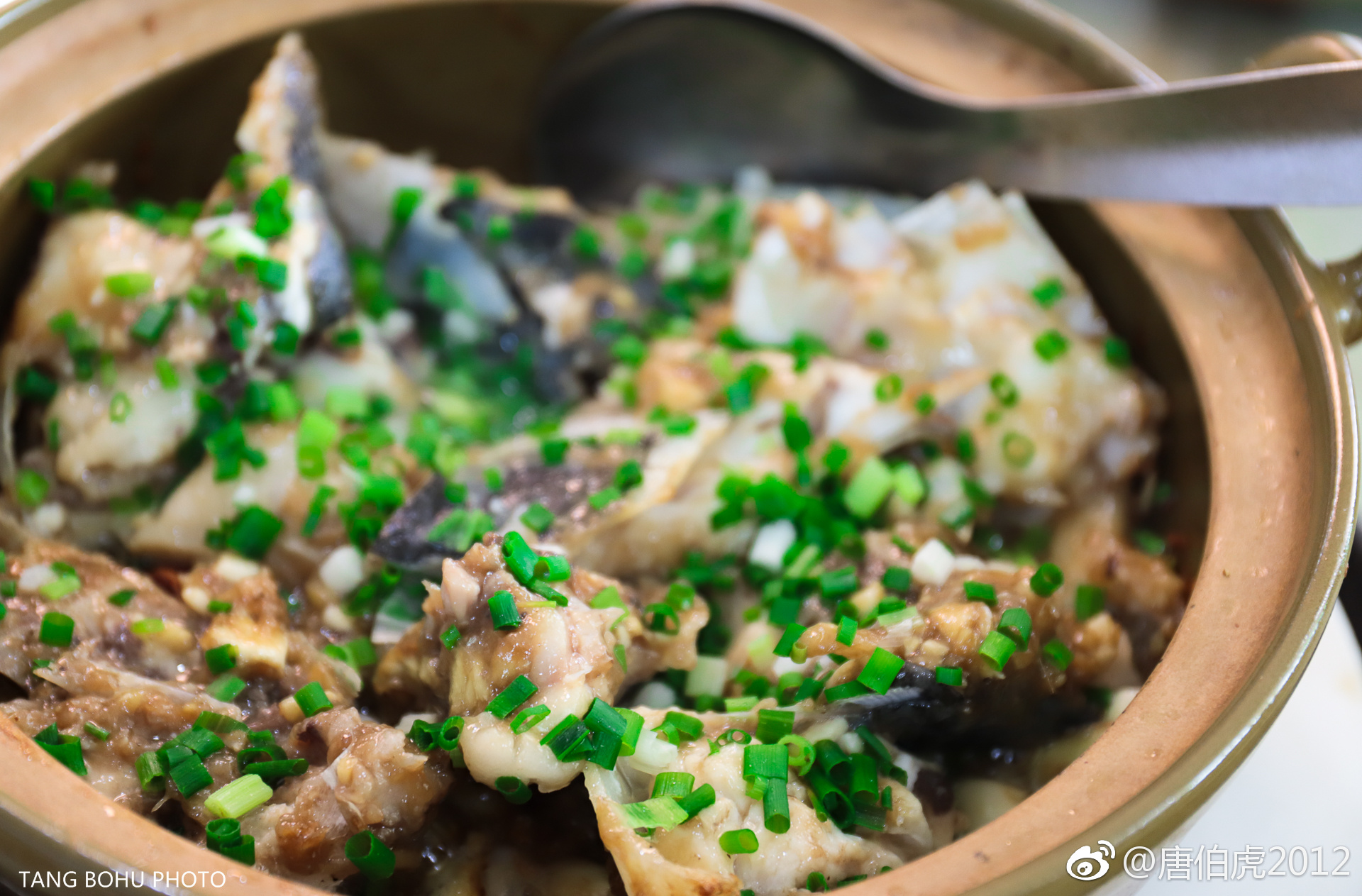 万绿湖旁边有很多河鲜.从涟岸