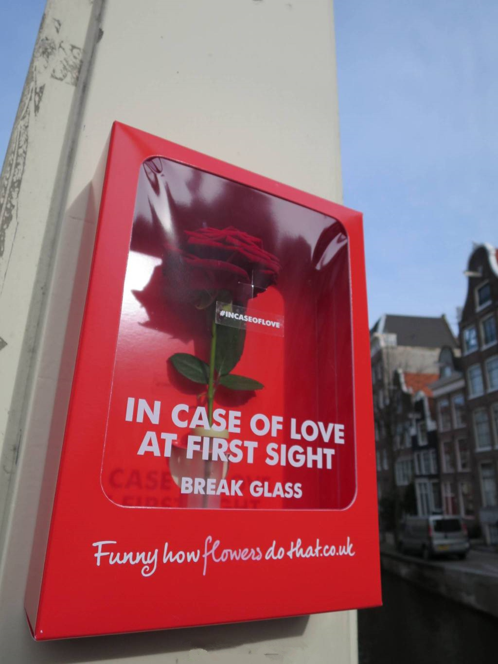 如果偶遇爱情,请打碎玻璃|应急箱|玫瑰|法国_新浪新闻