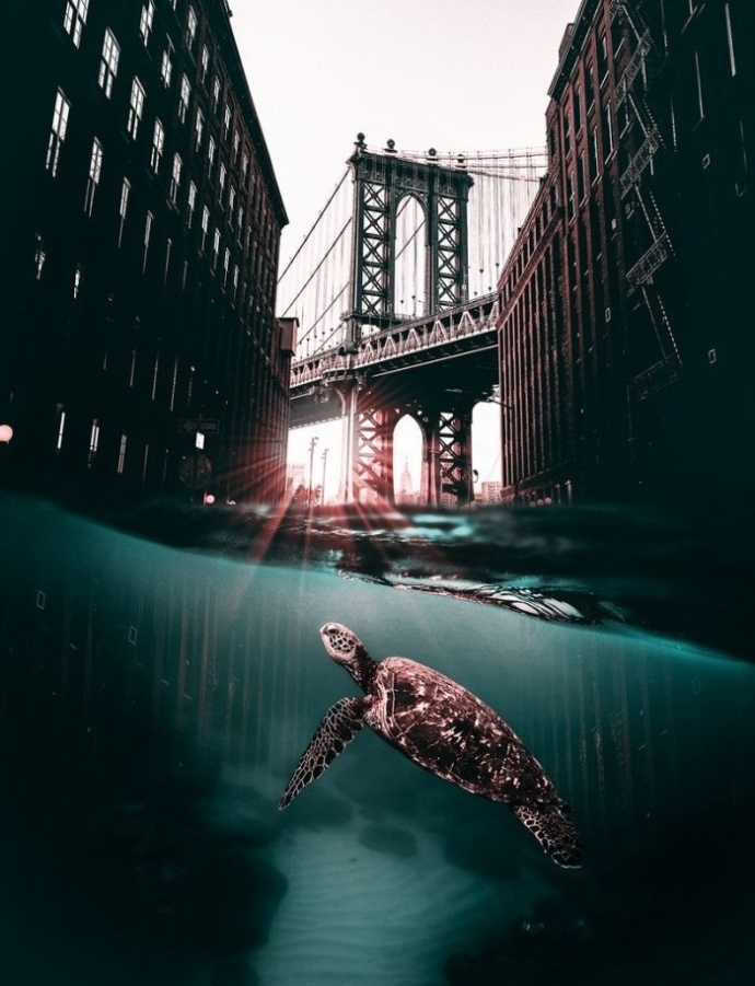 土耳其数字艺术家hüseyin ahin以其高超的ps技术和创意超脱的脑洞