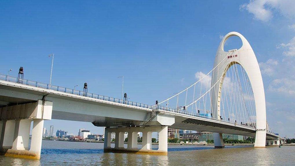 中国承建越南同塔省高岭桥通车_新浪视频