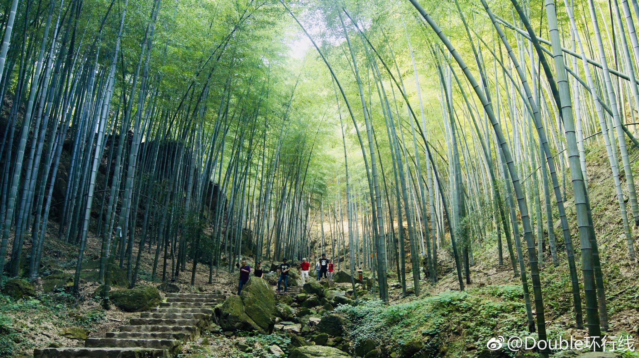 苏南第一高峰黄塔顶海拔6115米属天目山脉